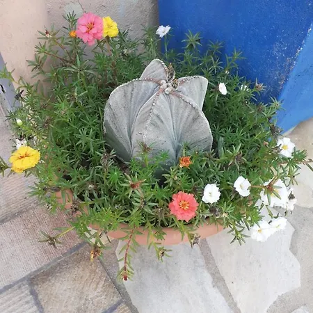 Casa Vacanza Su Bonu Acatu בית נופש