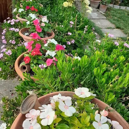 Casa Vacanza Su Bonu Acatu בית נופש *