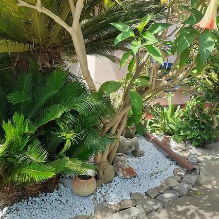 Casa Vacanza Su Bonu Acatu *