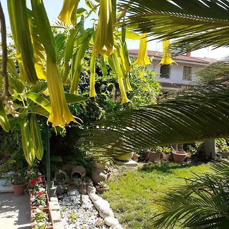 Casa Vacanza Su Bonu Acatu 度假居 *