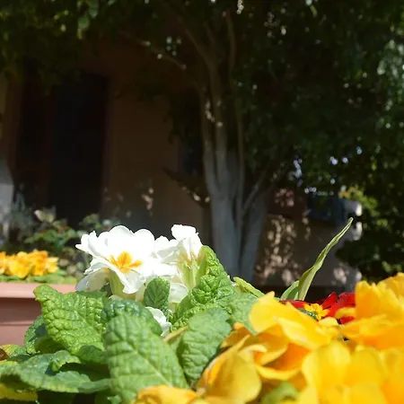 Casa Vacanza Su Bonu Acatu Càbras