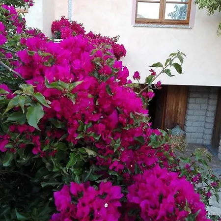 Ferienhaus Casa Vacanza Su Bonu Acatu Càbras