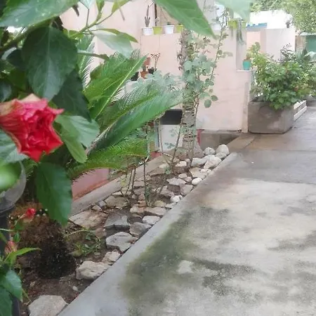 Casa Vacanza Su Bonu Acatu *