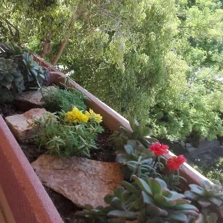 Casa Vacanza Su Bonu Acatu