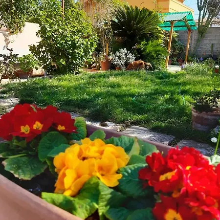 Casa Vacanza Su Bonu Acatu