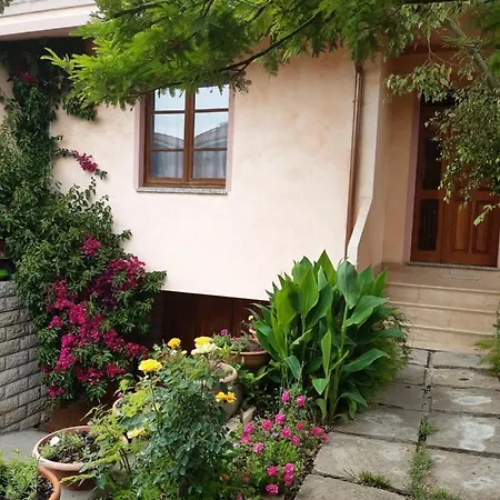 Casa Vacanza Su Bonu Acatu
