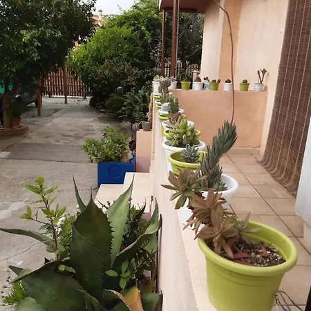 Casa Vacanza Su Bonu Acatu