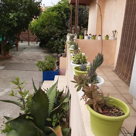 Casa Vacanza Su Bonu Acatu